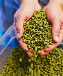 Presentación 100 Grs