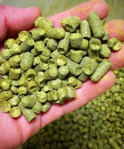 Presentación 5 Kilos