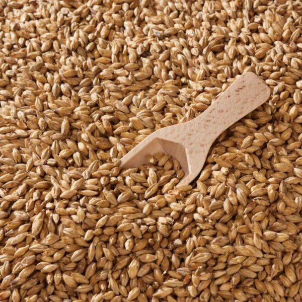 Malta Swaen Ale x 5 Kg
