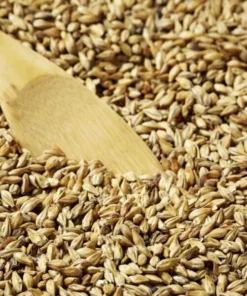 Malta Swaen Amber x 5 Kg