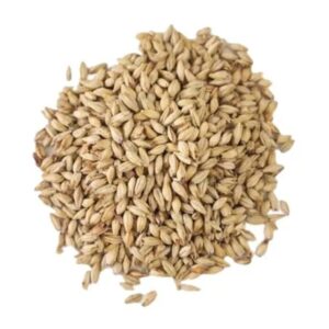 Malta Swaen Pilsner The Swaen x 25 Kg