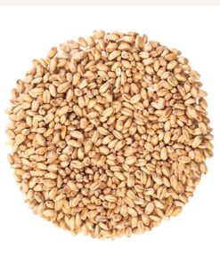 Malta Swaen Pilsner x 5 Kg