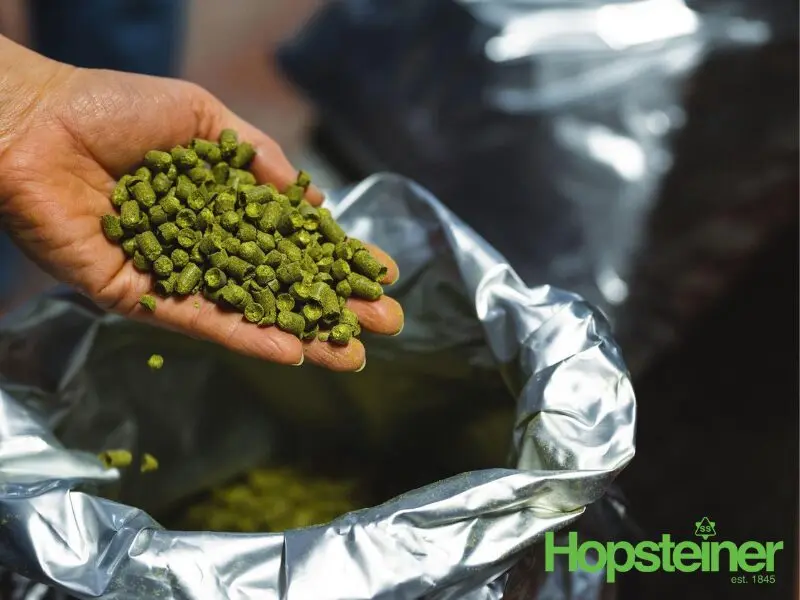 Descubrí el Lúpulo el Dorado Versatilidad, Aroma y Sabor para Tus Cervezas