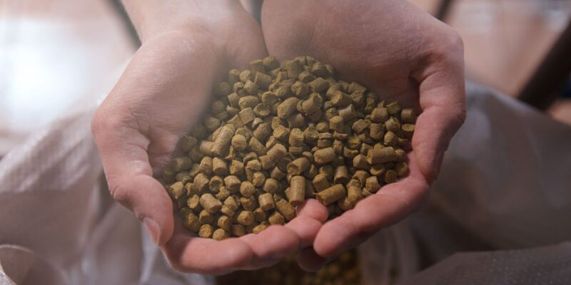 Lúpulo El Dorado Hopsteiner en pellets premium Lúpulo El Dorado Hopsteiner en pellets premium