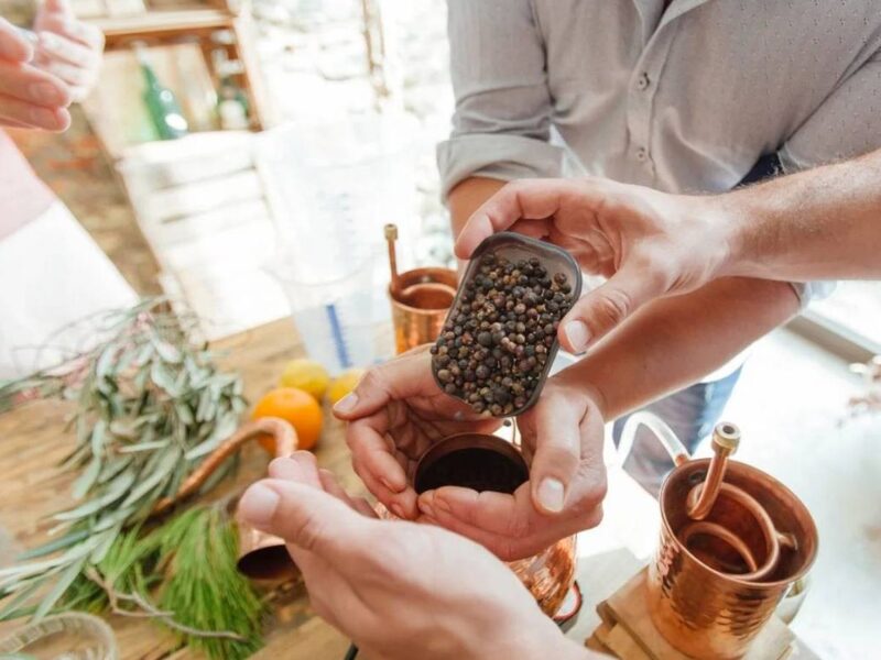 El Alma de los Destilados: los Botánicos y su Papel en la Destilación El Alma de los Destilados los Botánicos y su Papel en la Destilación