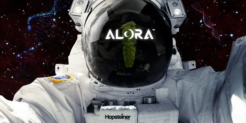Todo sobre el lúpulo Alora Hopsteiner