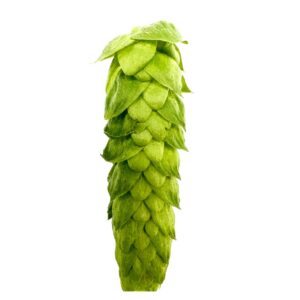 Lúpulo Alora Hopsteiner x 5 Kg