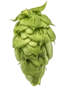 Lúpulo Nugget YQH Cosecha 2023 x 5 Kg