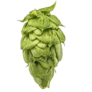 Lúpulo Nugget YQH Cosecha 2023 x 5 Kg