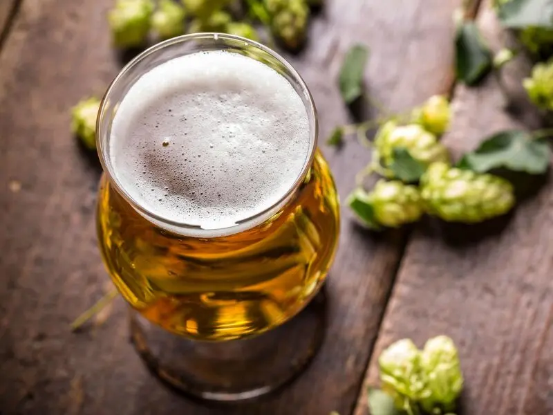 Tabla de Equivalencias de Lúpulos para Cerveza