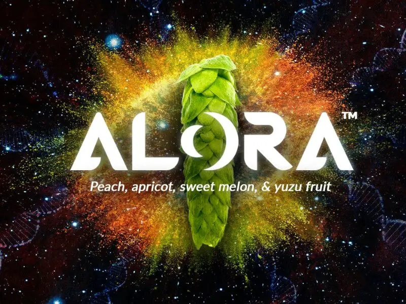 Todo sobre el lúpulo Alora Hopsteiner Perfil Aromático, Estilos y Curiosidades