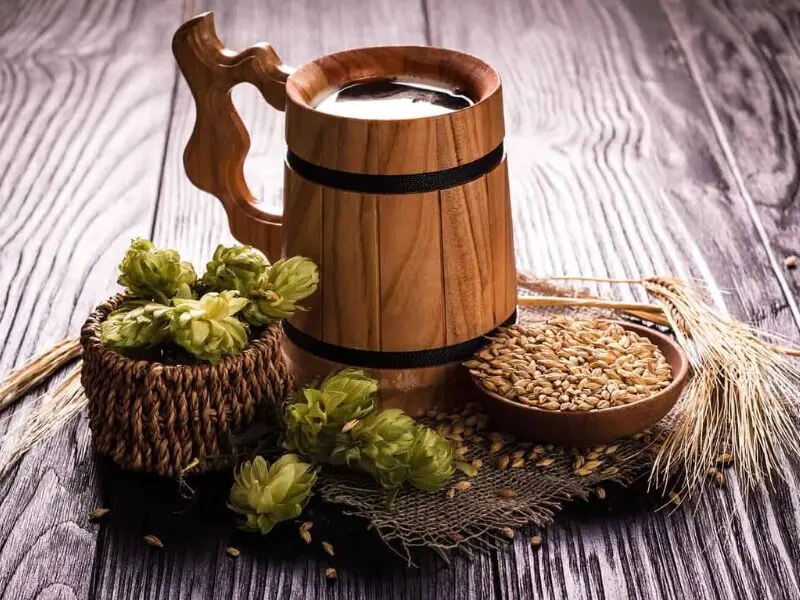 Lúpulo Comet de Hopsteiner El Titán Cítrico que renació para la Cerveza Artesanal