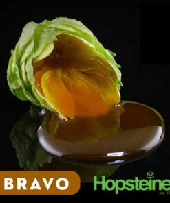 Lúpulo Salvo Bravo x 60g