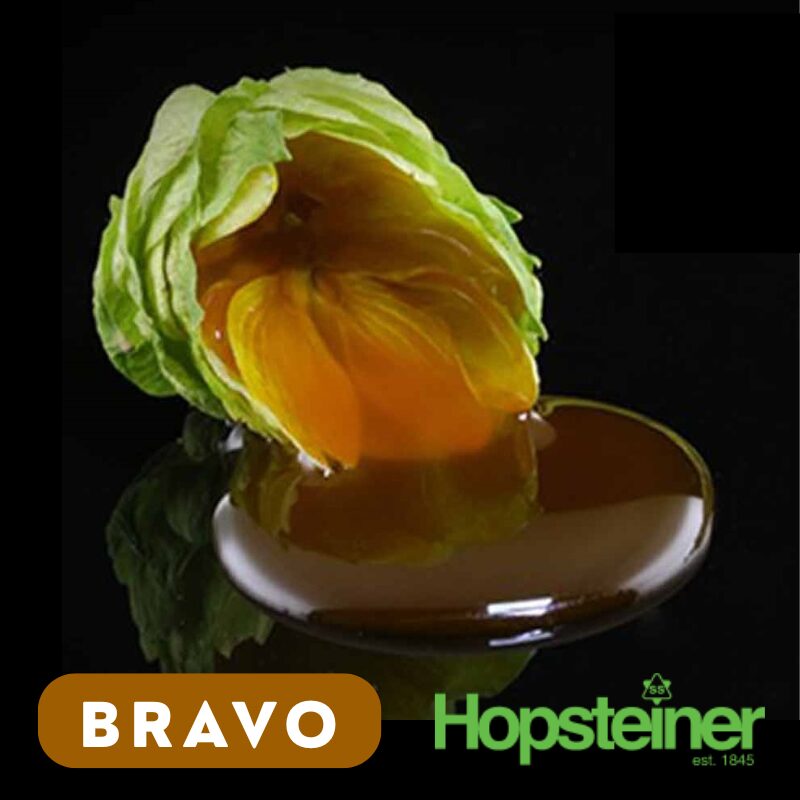 Lúpulo SALVO Bravo Lúpulo Salvo Bravo x 60g