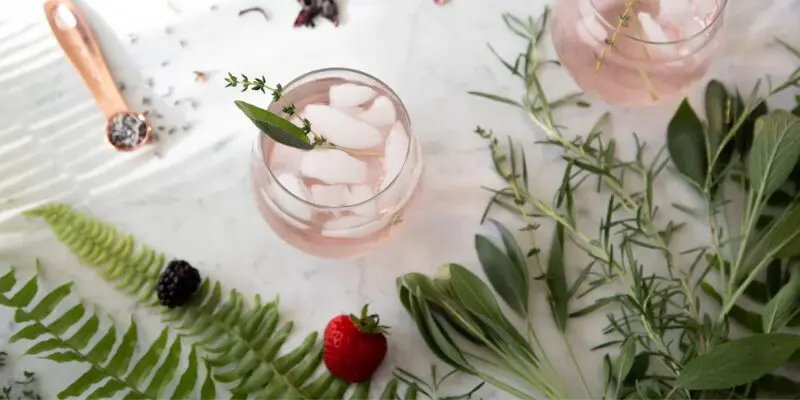 Botánicos Colombianos vodka y gin Botánicos Colombianos vodka y gin