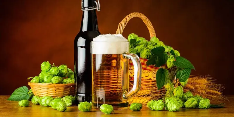 lupulo erebus hopsteiner