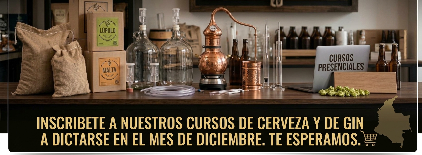 Inicio