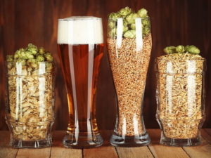 Guía Completa Cómo hacer Cerveza Artesanal en Casa con Kits de Insumos